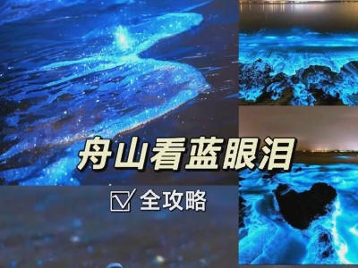 NECNP300投影仪的全面评估（优势、特点和用户体验的综合分析）