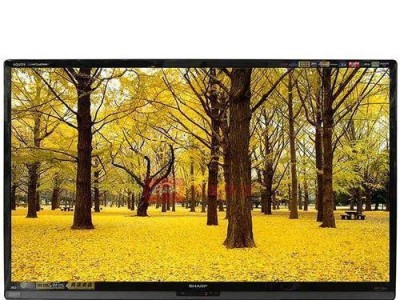 夏普LCD48S3A的品质与性能评测（一款性价比超高的48英寸液晶电视）