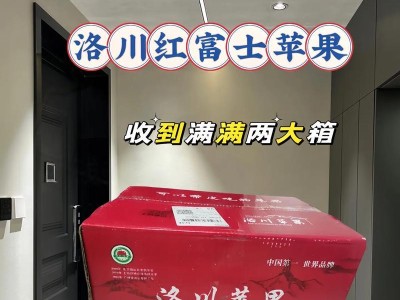 购买两部苹果的经验与建议（如何选择和购买适合自己的苹果设备）