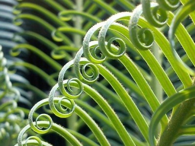 探索以blur桌面为主题的美感与实用性（通过模糊效果打造清新而专注的工作环境）