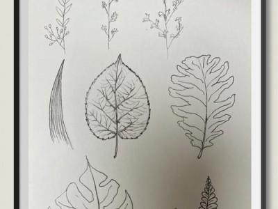 以PEO创造者为主题的文章（发现创新领域的关键人物和思想）