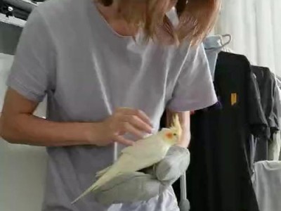 如何有效地以两天鲁一次管理？（提高效率、减少压力，让工作更高效）