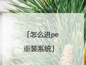 轻松便捷的一键PE装机工具使用教程（快速提升装机效率的关键工具）