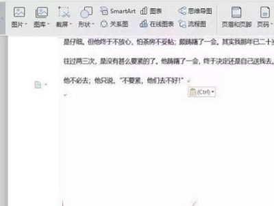 WPS页脚横竖线的添加方法与技巧（打造个性化文档设计，突显专业形象）