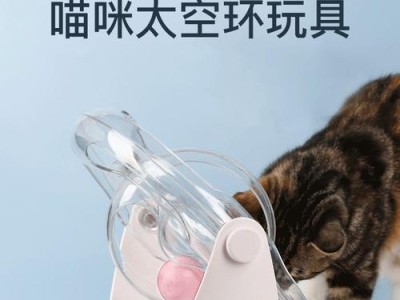 电脑360安装猫抓教程（一步步教你如何在电脑中安装猫抓软件）
