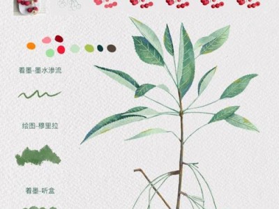 掌握Procreate（一步步学习Procreate，释放你的创造力）