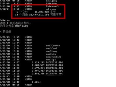 电脑病毒软件教程（详解电脑病毒软件的安装和使用方法，助你远离网络威胁）