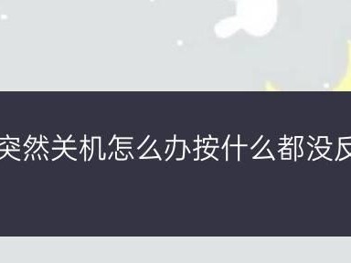 解决电脑无法正常关机的方法（困扰众多电脑用户的问题及解决方案）