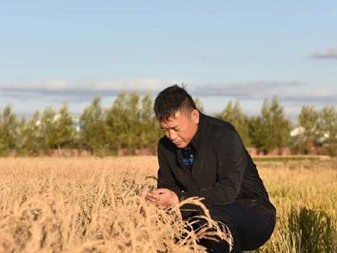 姚檀栋（探索战略，姚檀栋引领中国农业现代化进程）