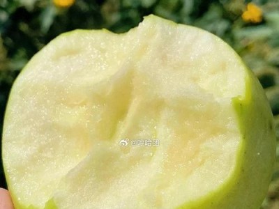 口碑最好的苹果手机——用户心仪的完美选择（一起探索为何苹果手机赢得了无数用户的赞誉及其关键原因）