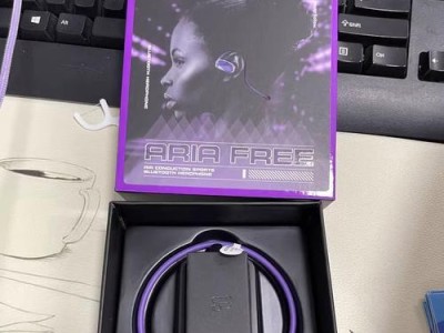 魔声钻石之泪音质解析（全方位呈现极致音质的关键所在）