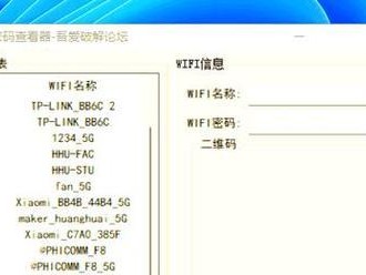 破解网络密码的安全教程（保护个人账户安全的必要手段）
