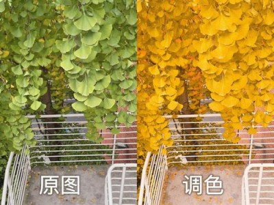 以绿叶U盘制作工具装机教程（打造高效便捷的个人电脑安装方式）
