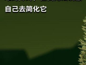 锤子官翻版（以锤子官翻版怎么样？一探新晋手机品牌的真实实力）