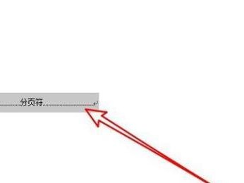 解决Word中无法删除空白页的问题（探索删除Word文档中固执空白页的方法）