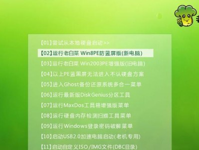 大白菜gost装机教程（一键安装，轻松构建私密网络！）