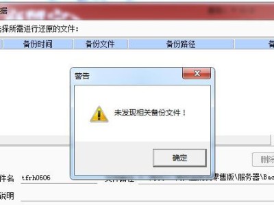 T1系统安装教程（详细介绍T1系统安装及使用流程，助你快速上手）