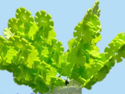 技嘉大白菜装机教程（技嘉大白菜装机教程详解，助你轻松组装自己的高性能电脑）