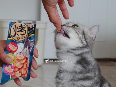 小喵零食（探索以零食小喵怎么样，为你的口腹之欲找到满足）